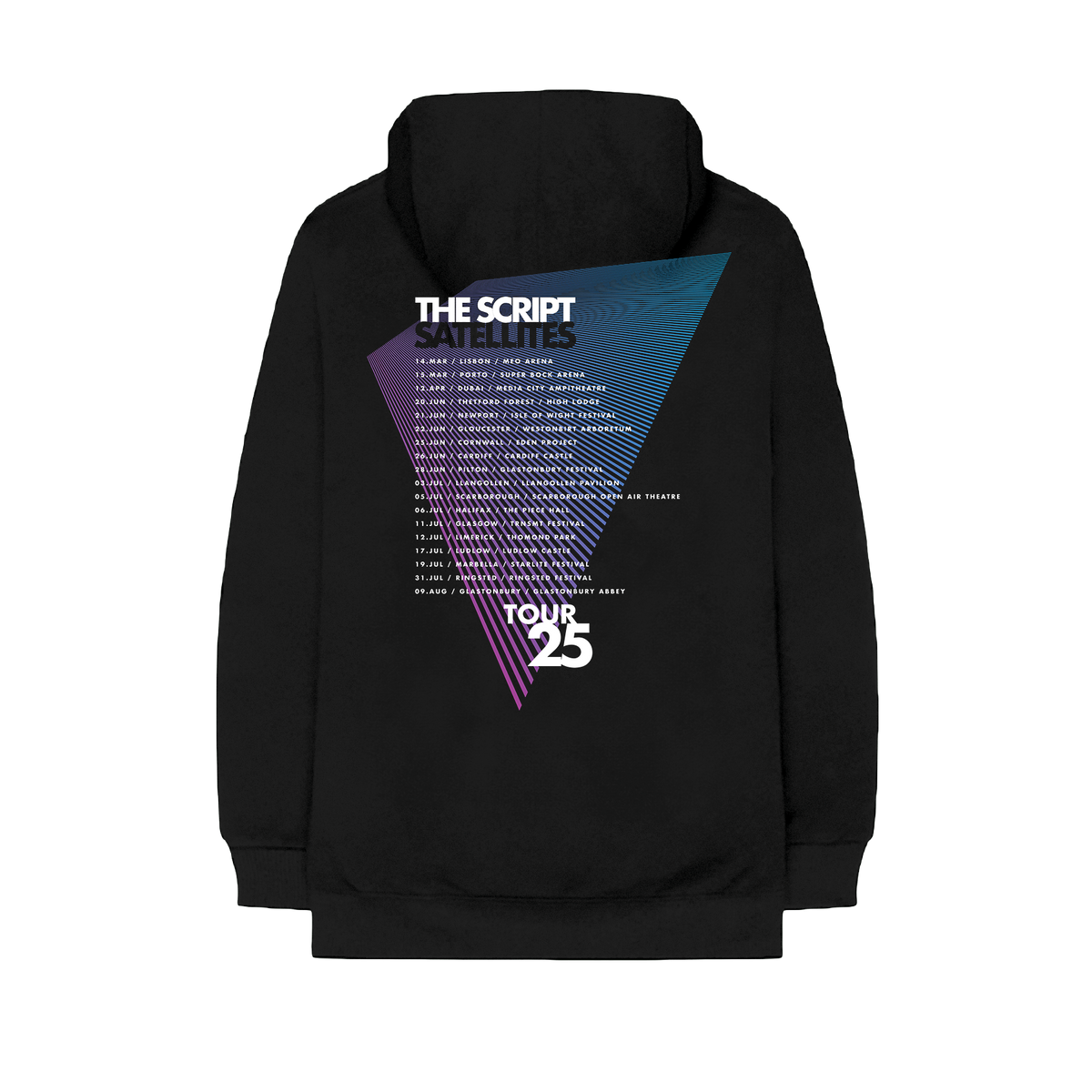 The Script Merch Logo The Script 2025 Dateback Hoodie